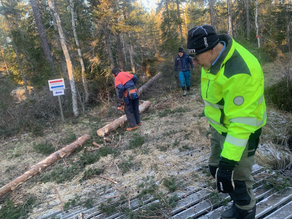 image: Röjning efter Johannes